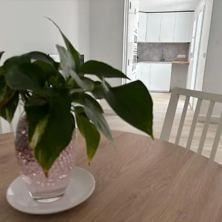 Apartment La Sardineta, Es Un En La Costa Brava, 1 Minuto De La Playa Alquiler Temporal Minimo 32 Noches Palamos